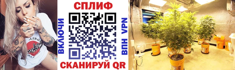МАРИХУАНА сатива  кракен зеркало  Курлово 